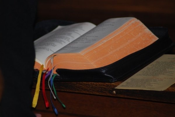 Концерт органної музики в Луцьку. ФОТО